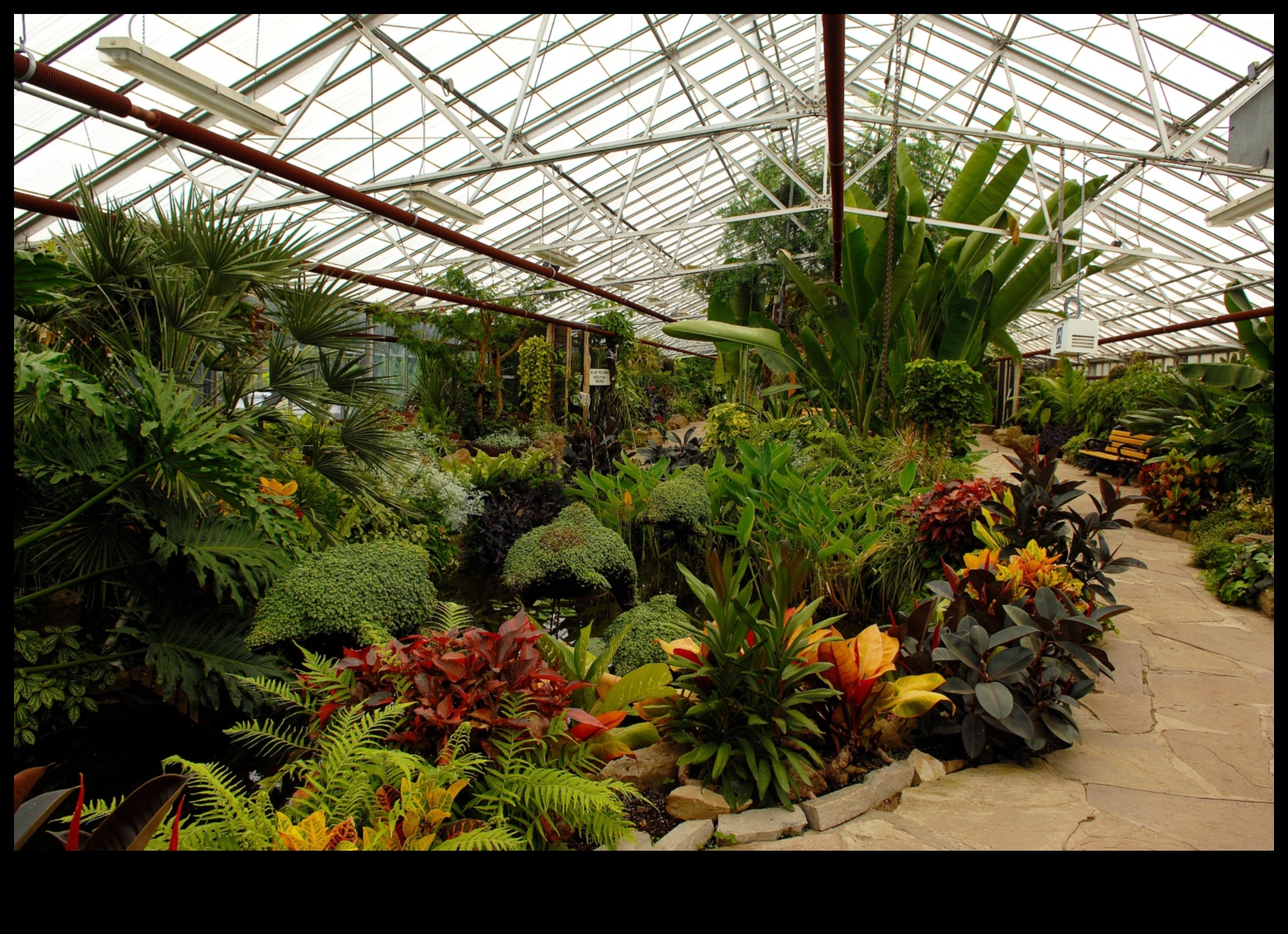 Indoor Wonderland: Greenhouse Delights Unveiled