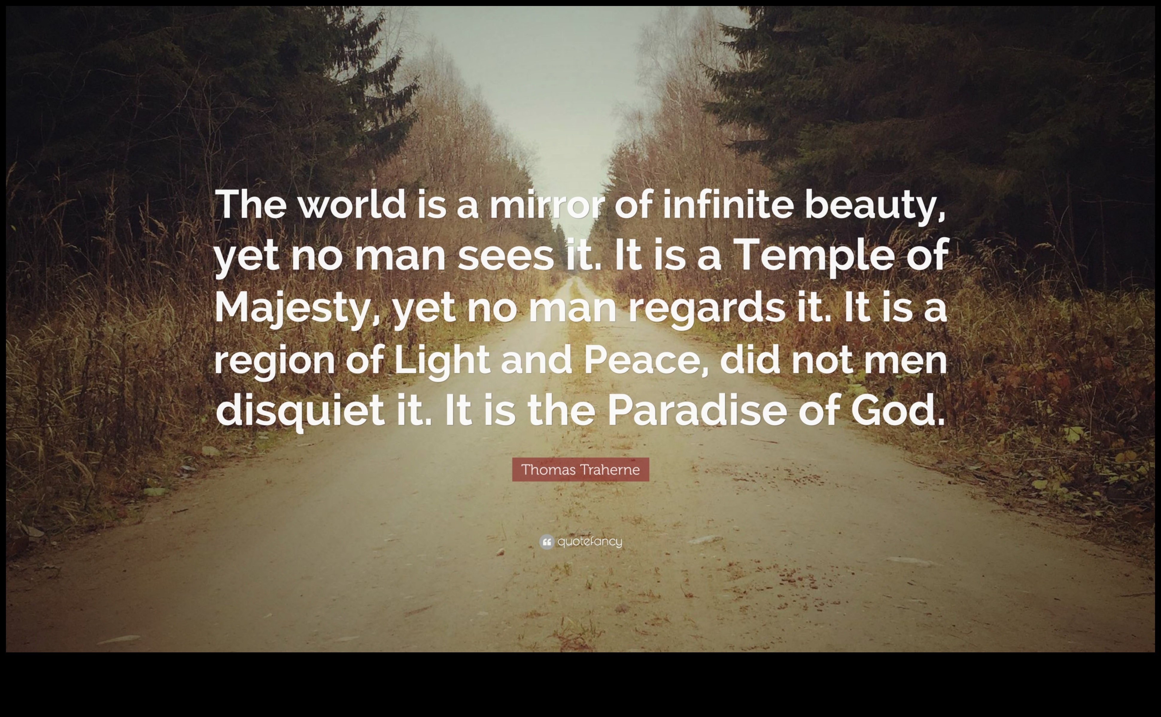 Infinite Perspectives: Exploring Boundless Beauty in Landscapes