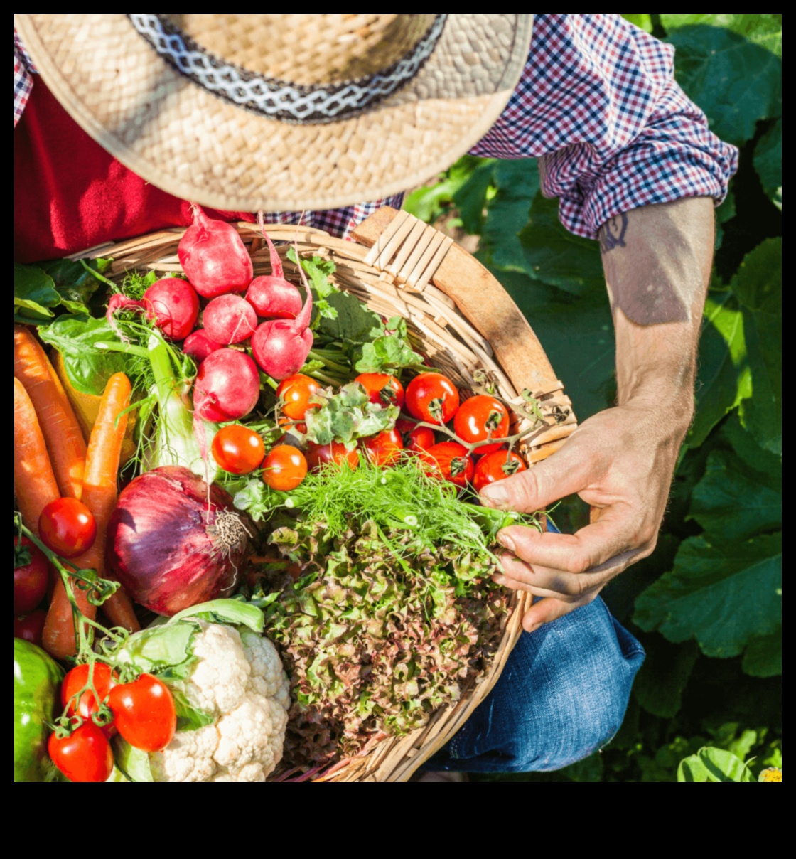 Infinite Harvest Grow Your Own Food All Year Round 2 Infinite Harvest: Greenhouse Garden Secrets