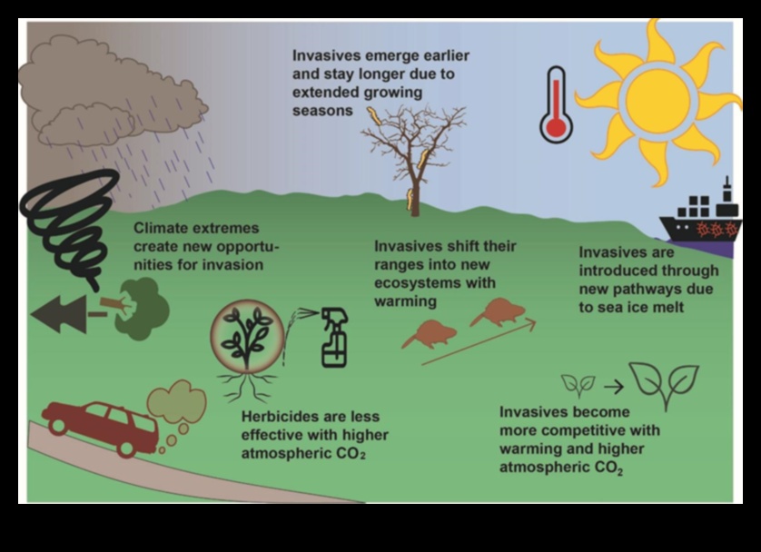 Invasive Species A Growing Threat to the Landscape 1