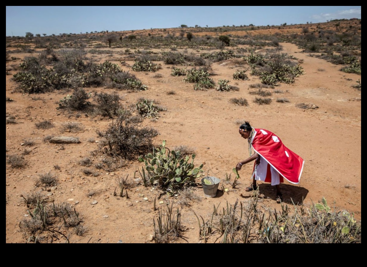 Invasive Species A Growing Threat to the Landscape 3 Why are certain landscapes more susceptible to invasive animal species?