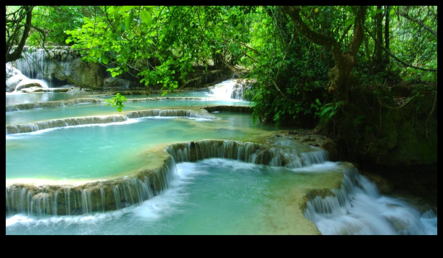 Nature's Embrace: A Journey Through Lush Landscapes