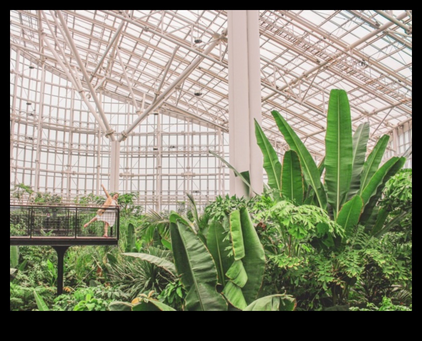 Botanical Beauty: Journey Through Our Greenhouse