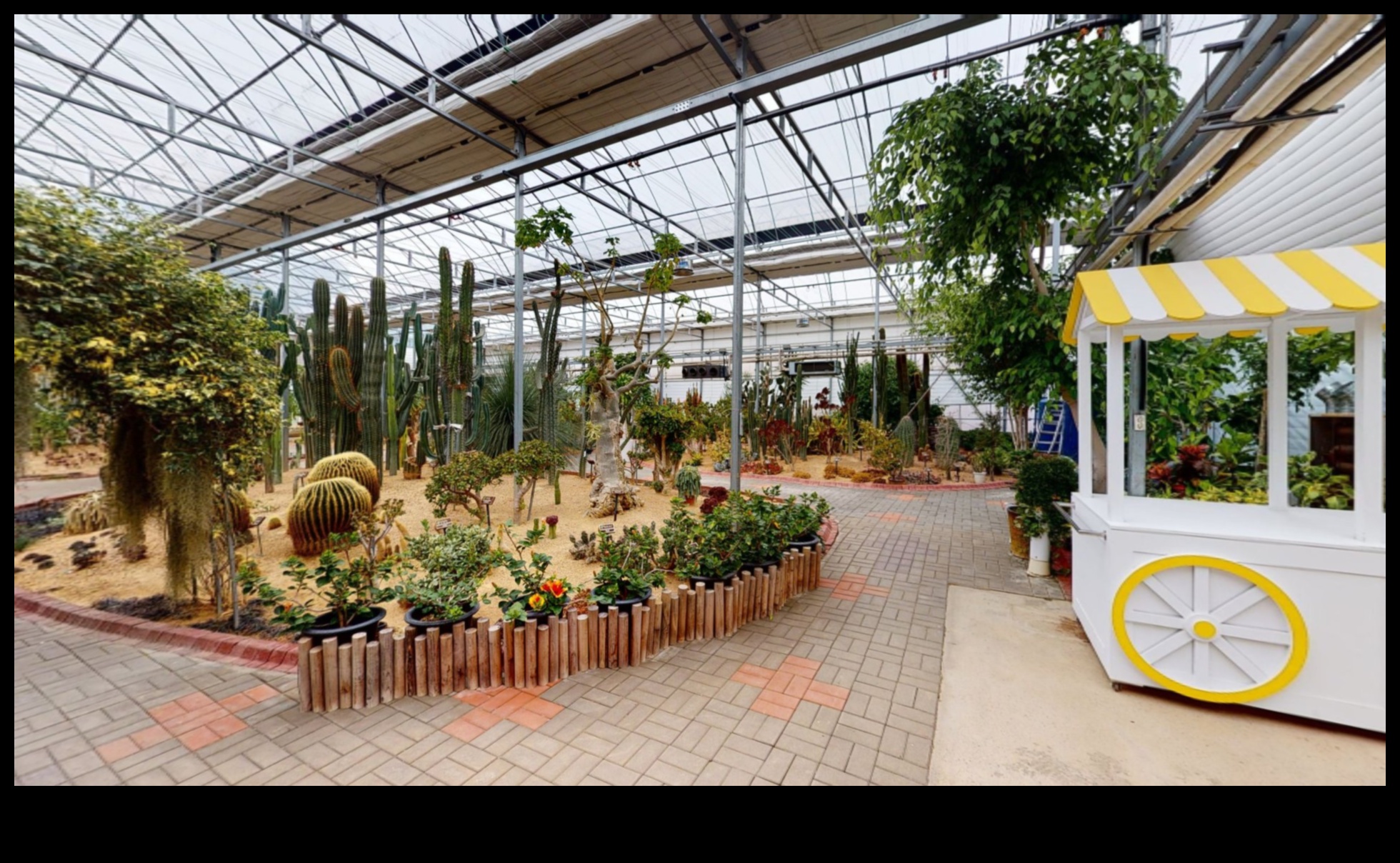 Botanical Beauty: Journey Through Our Greenhouse