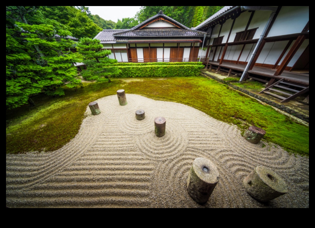 Karesansui Wonders: Japanese Garden Simplicity