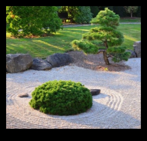 Karesansui Wonders: Japanese Garden Simplicity