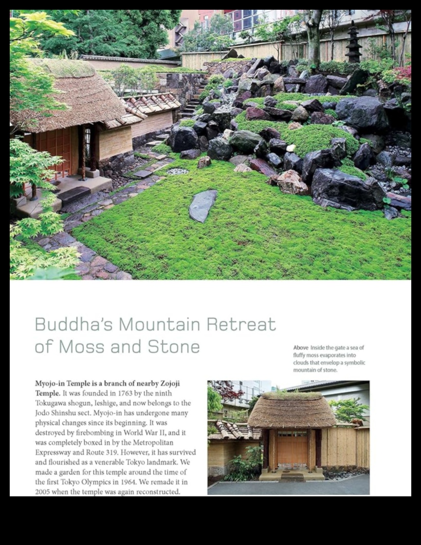 Koto Harmony: Creating Japanese Gardens at Home