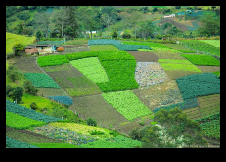 Whispers of Wonder: Captivating Landscapes That Ignite the Imagination