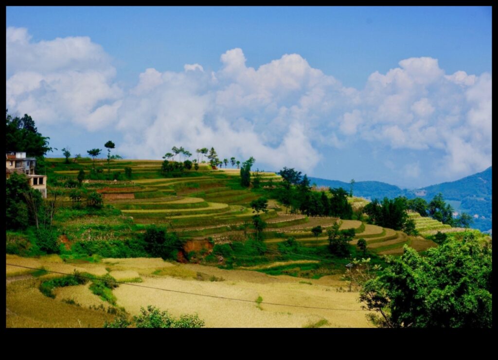 Landscapes Shaped by Disasters 1