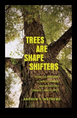 Why are certain landscapes more vulnerable to natural disasters?