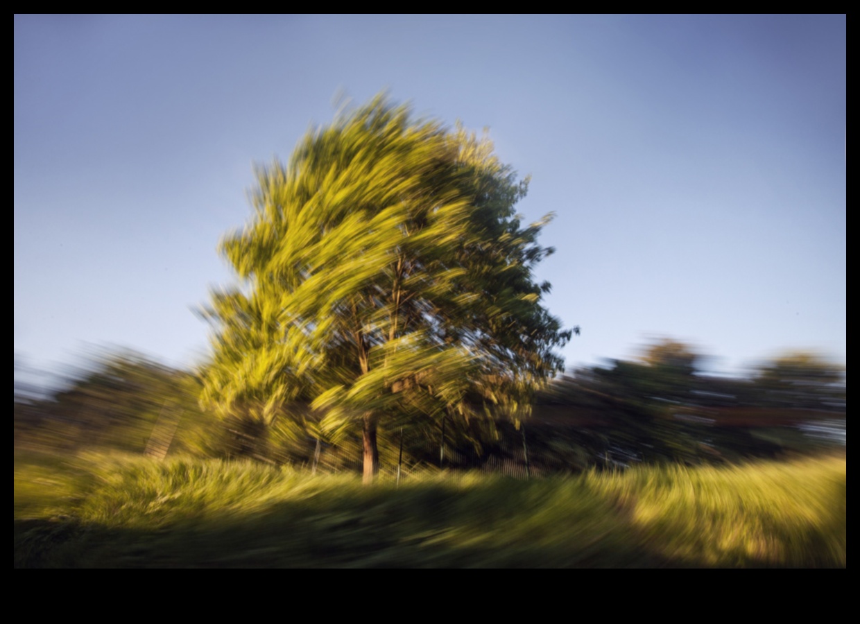 Landscapes in Motion II: Dynamic Perspectives on Nature's Beauty