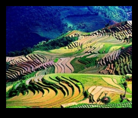 How do landscapes contribute to the cultural practices and traditions of communities?