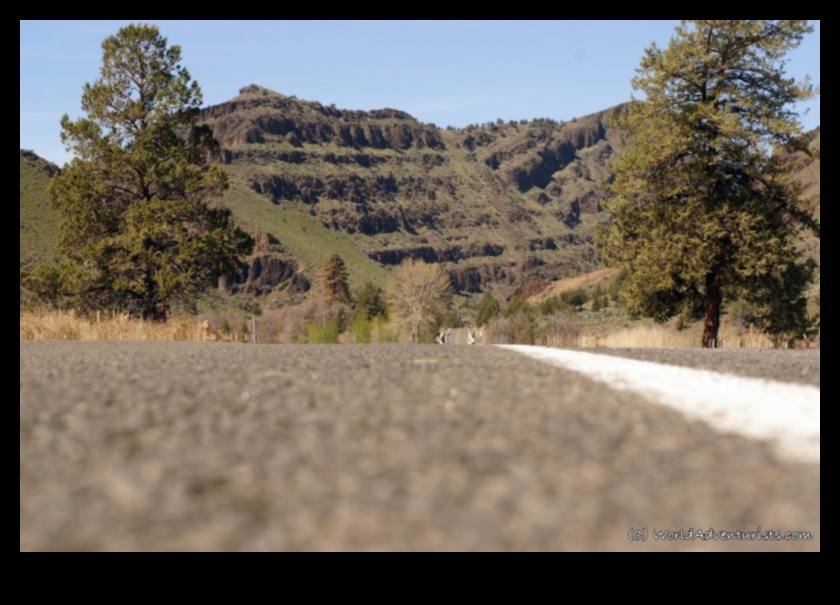 Land of Dreams: A Journey Through Enchanting Landscape Views
