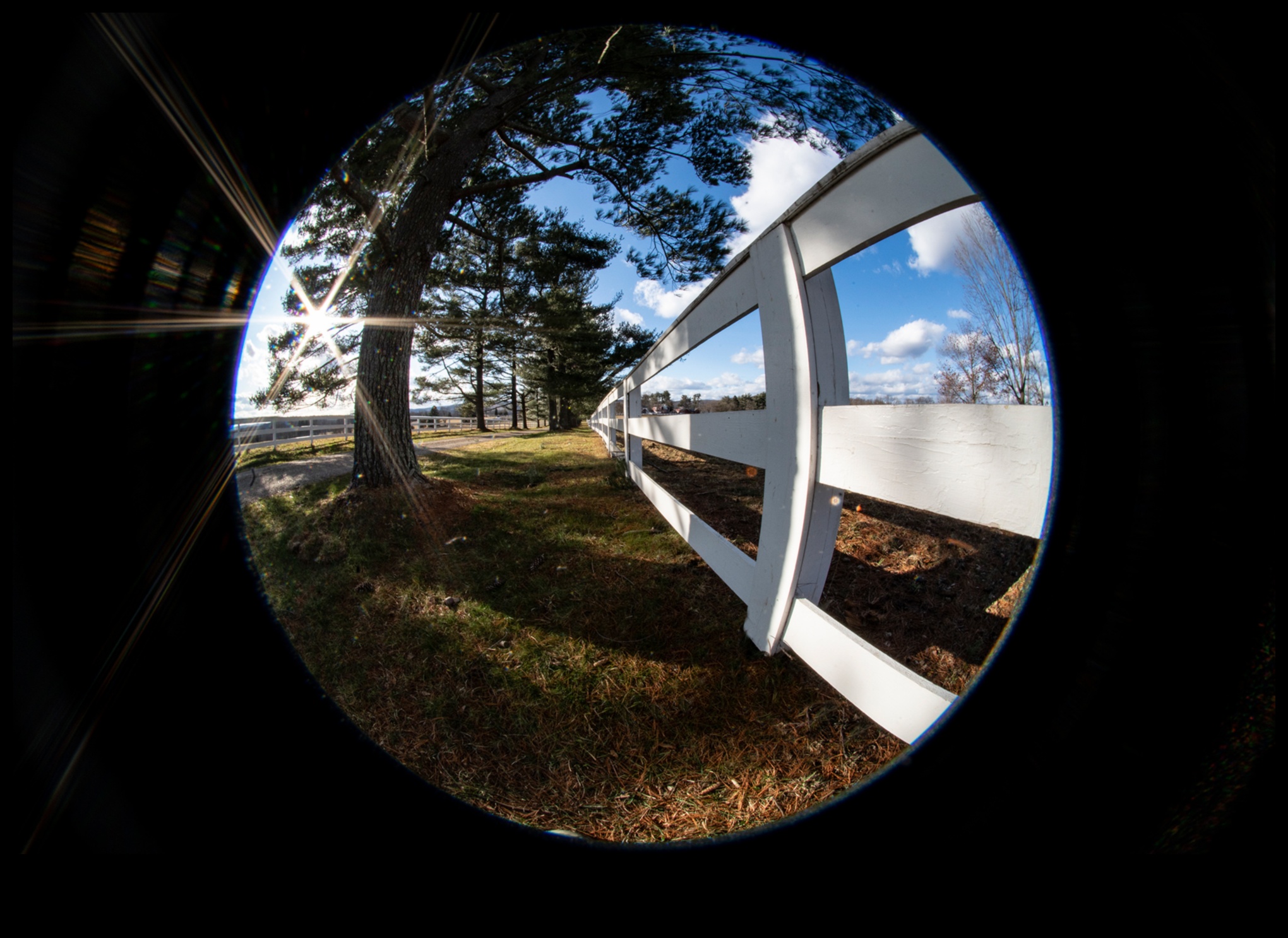 Abstract Realities: Distorted Perspectives in Landscape Art