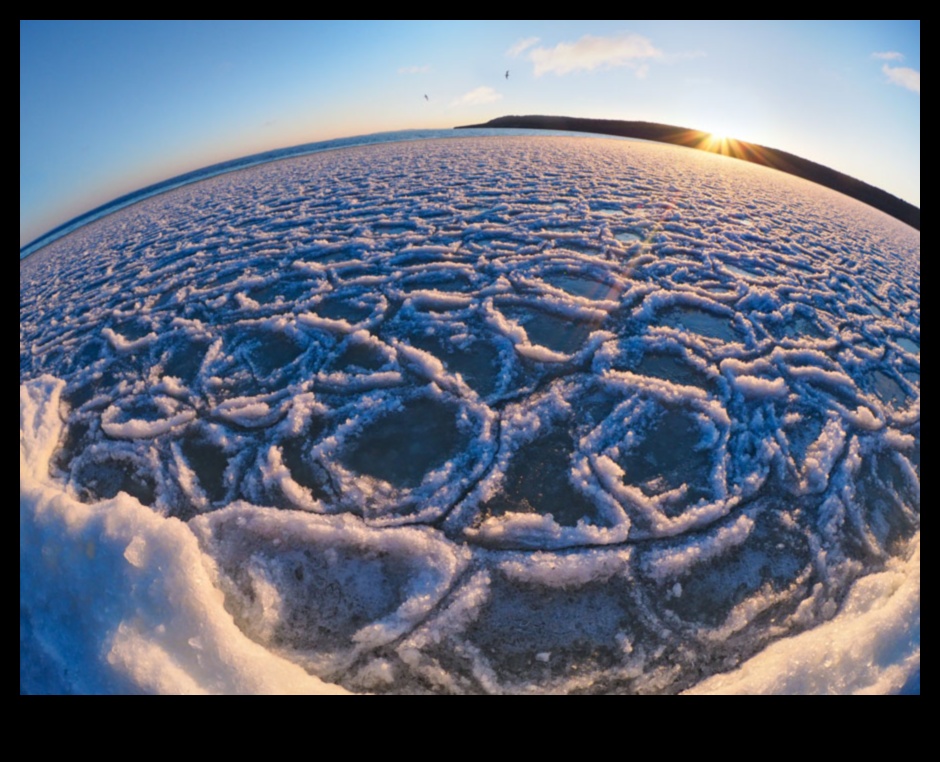 Abstract Realities: Distorted Perspectives in Landscape Art