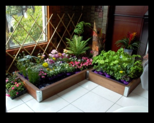 Leafy Luxury: Elevate Your Home with Indoor Gardening