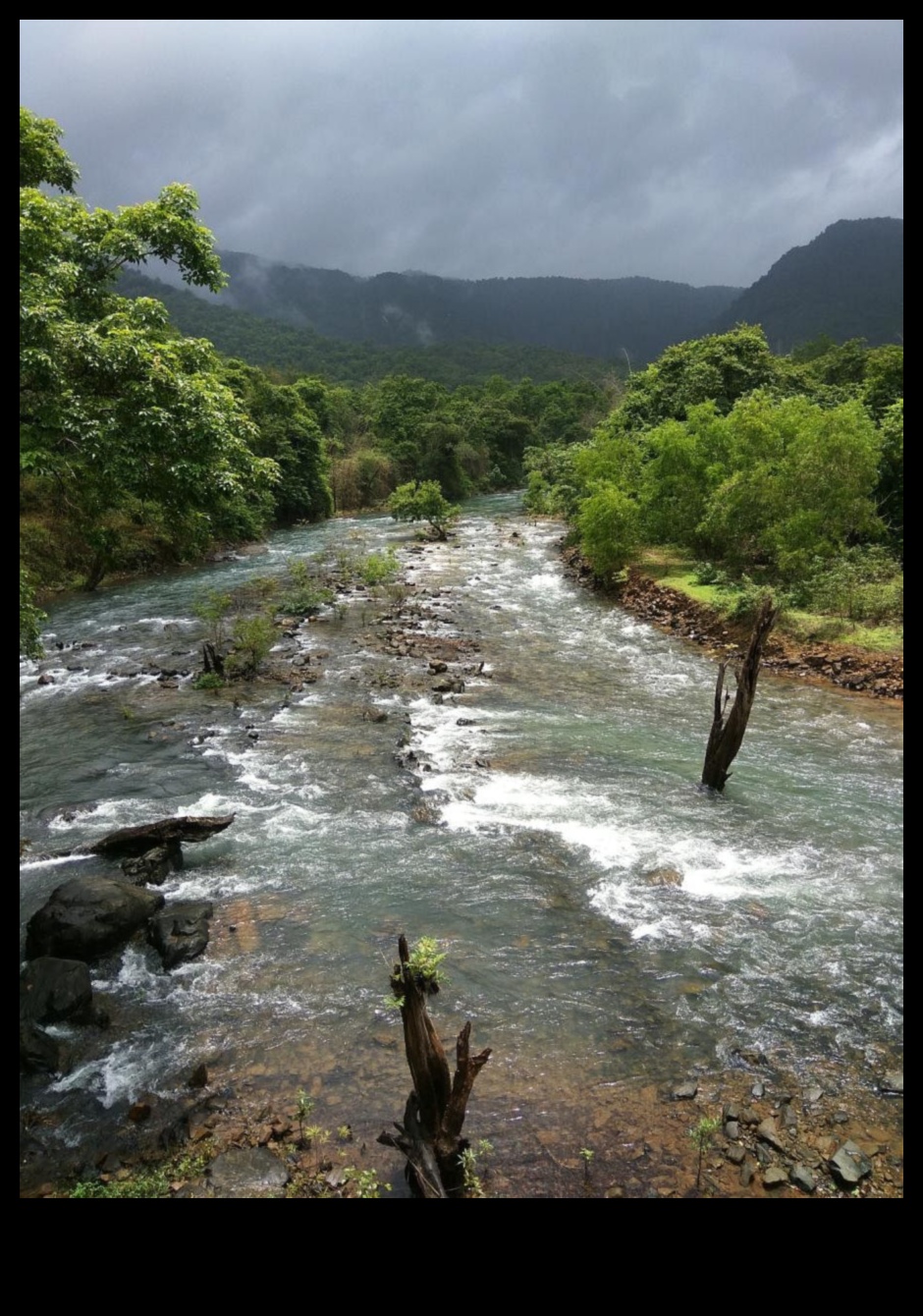 Rivers and Streams: Nature's Lifelines
