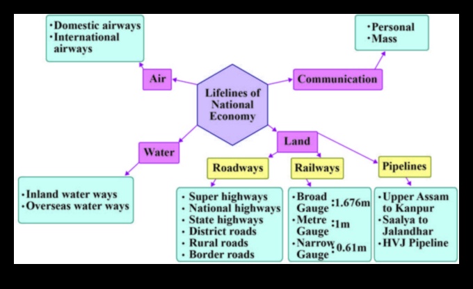 Rivers and Streams: Nature's Lifelines