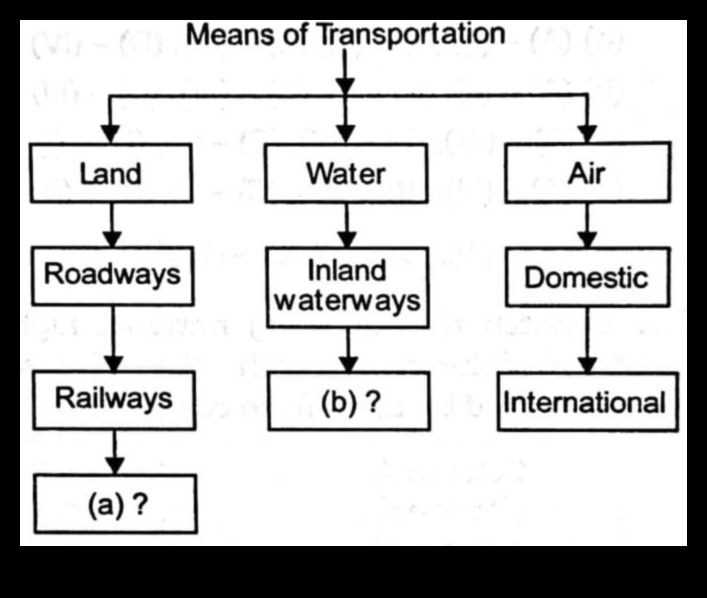 Rivers and Streams: Nature's Lifelines