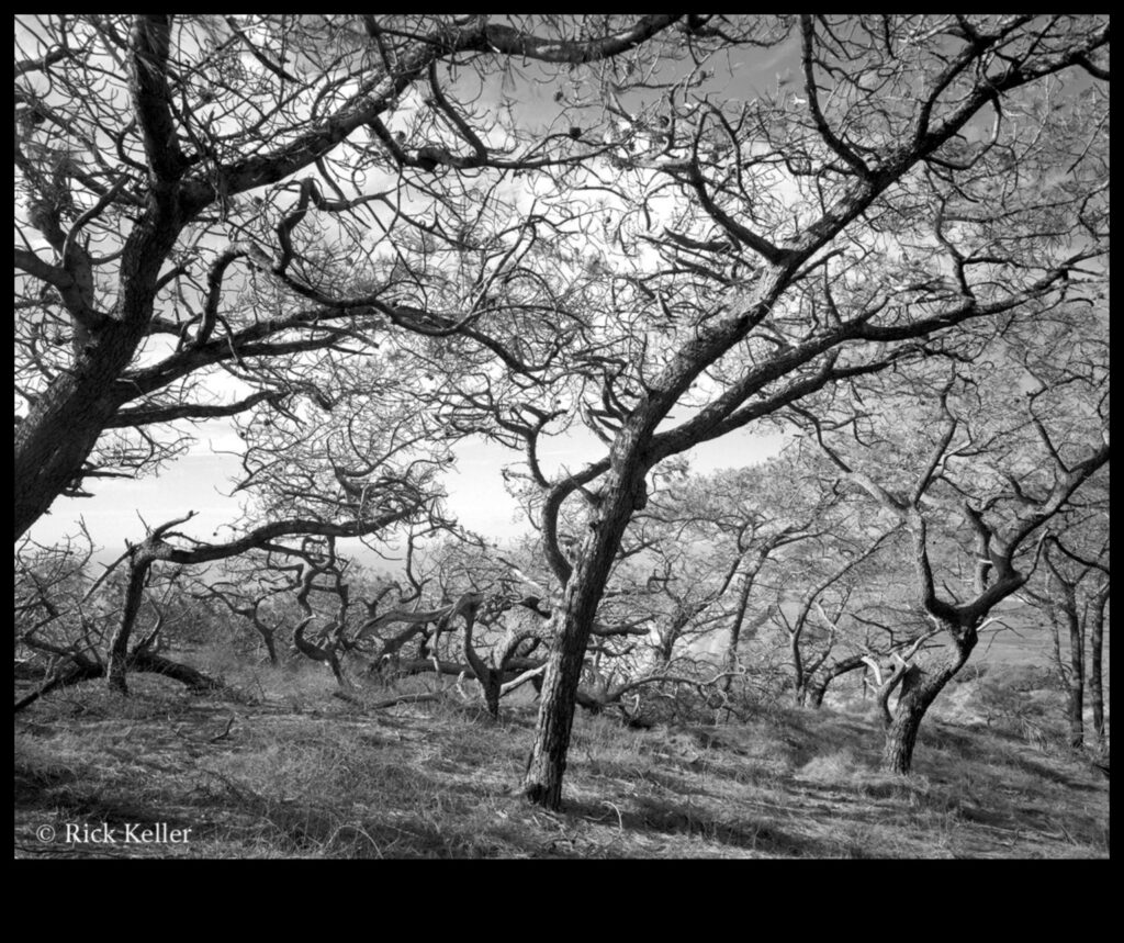 Light and Shadow in Landscape Photography 1