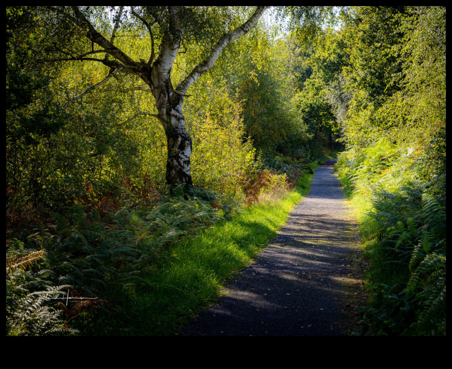 How does light and shadow affect the perception of landscapes?