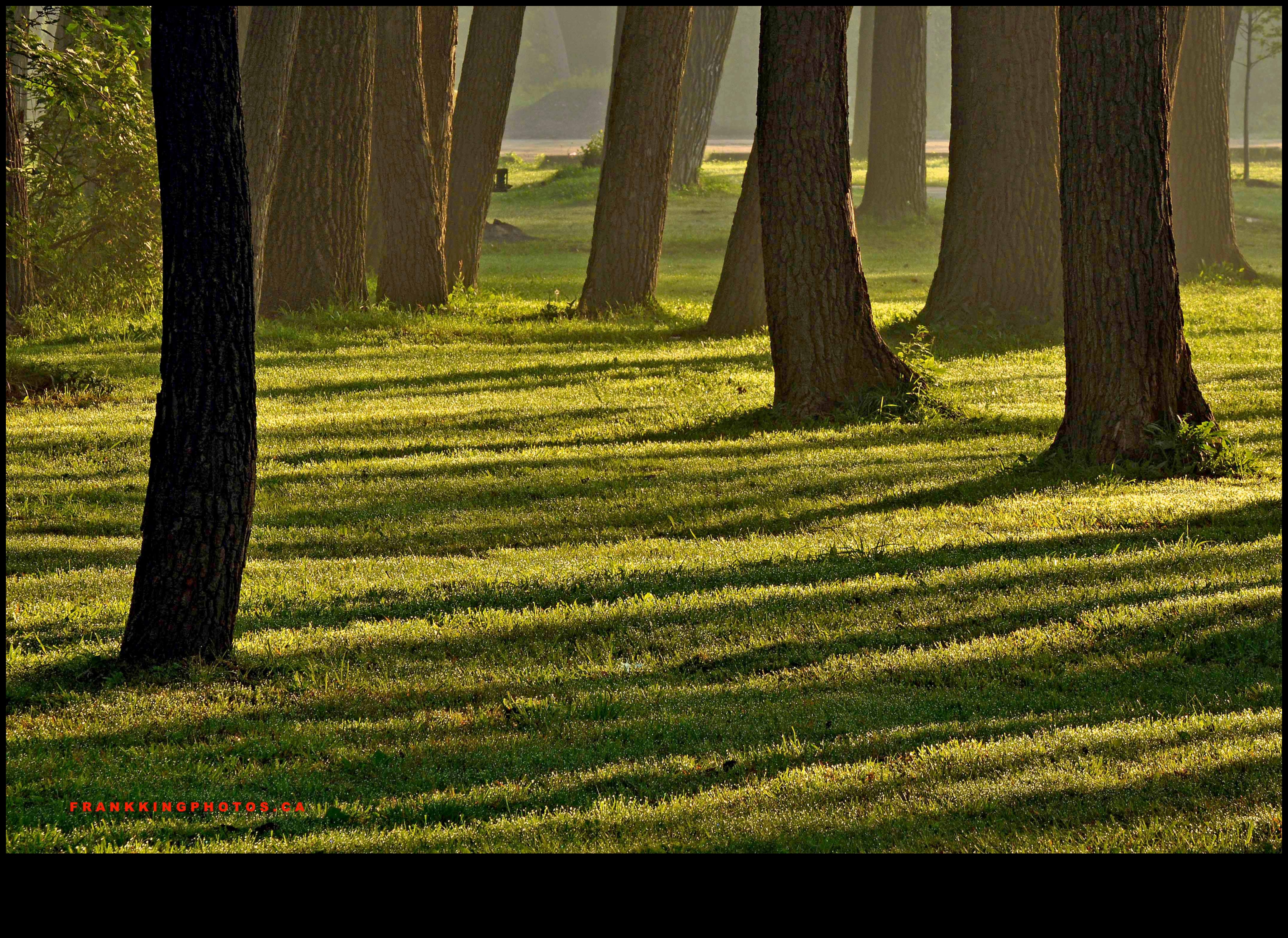 How does light and shadow affect the perception of landscapes?