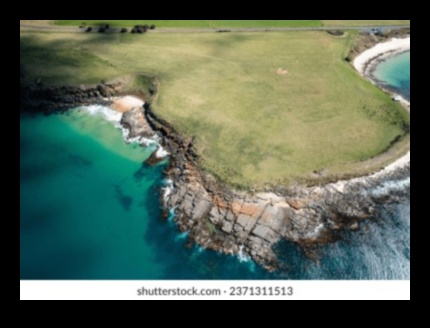 Lush Landscapes A Visual Feast 1