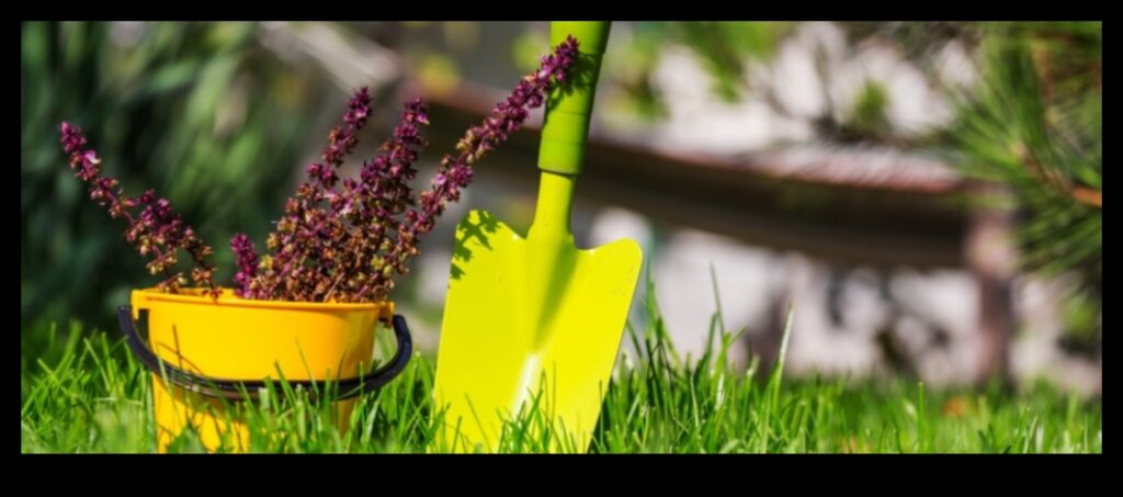 Lush Landscapes Await Uncover the Essential Garden Equipment You Need to Get Started 1