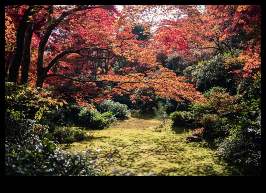 Majestic Maples: Japanese Garden Autumnal Charm