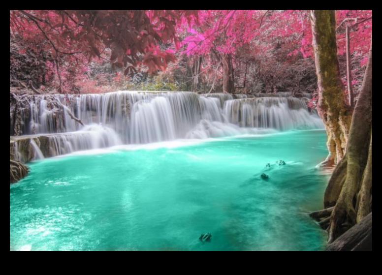 Cascading Elegance: Waterfalls and Cascades in New Light