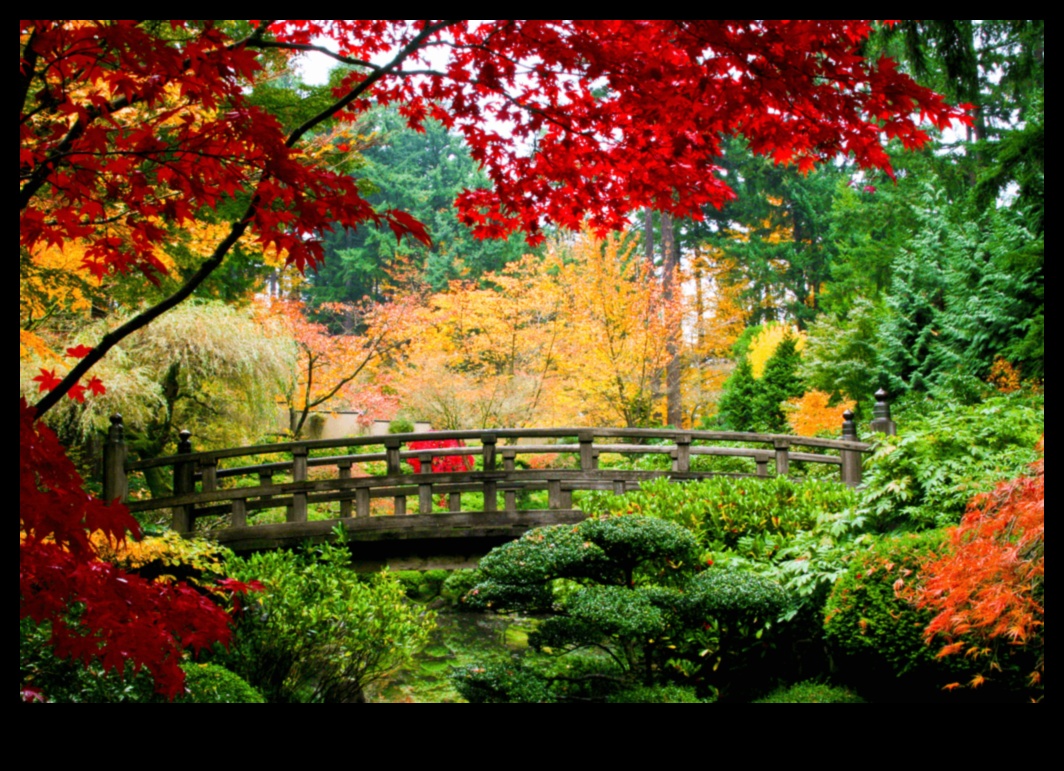 Maple Symphony: Japanese Gardens in Autumn Splendor