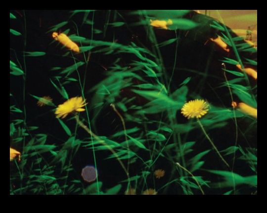 Melodic Landscapes An Exploration of Sound and Place 1