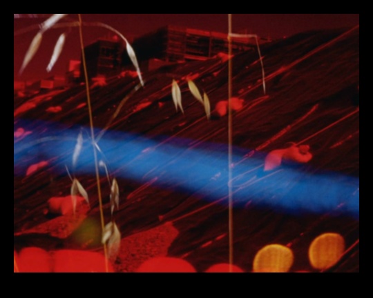 Melodic Landscapes: The Symphony of Nature in Music