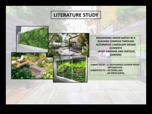 Micro Gardening Marvels: Urban Greening Strategies