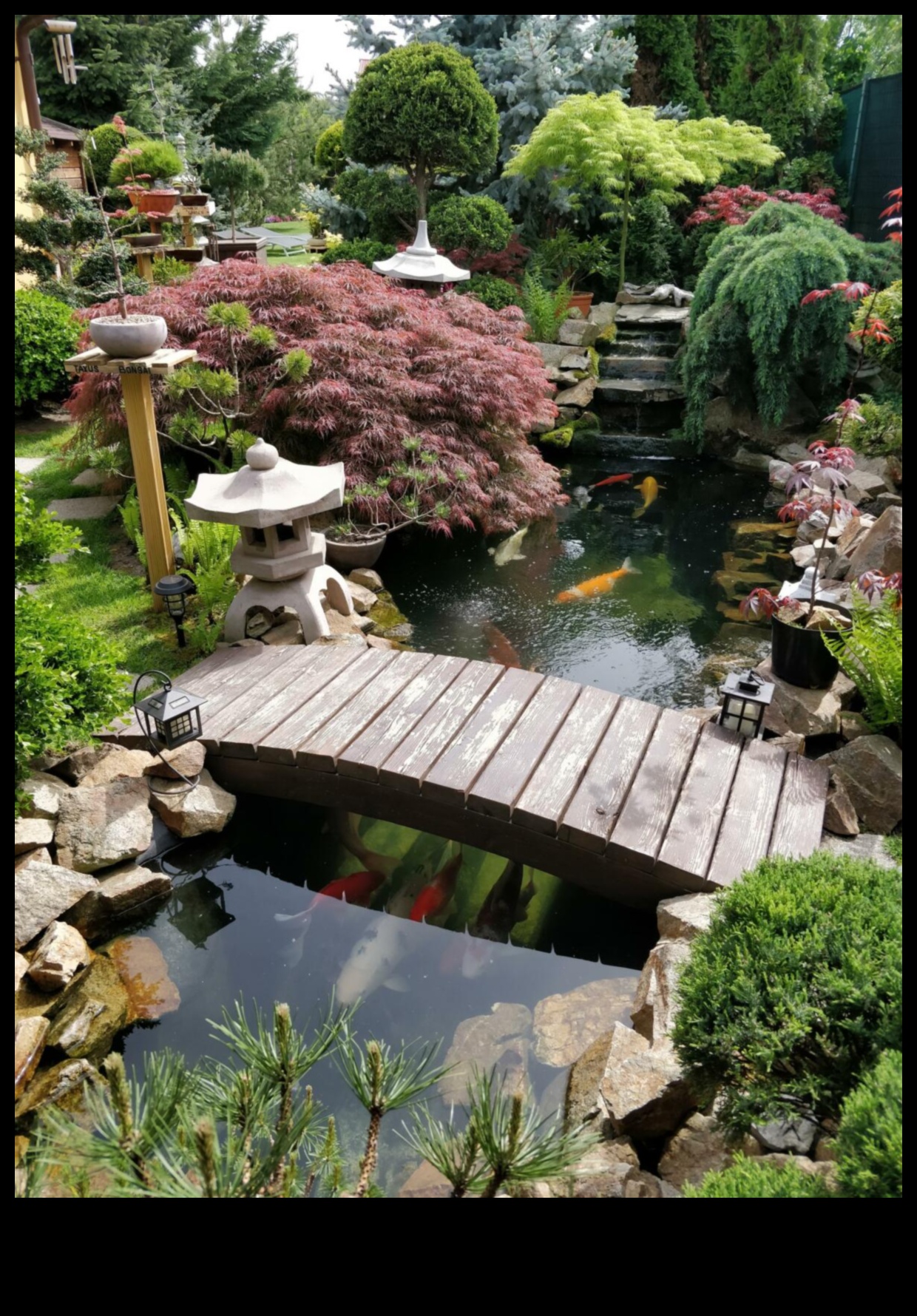 Moss Bridges and Zen Paths: Japanese Garden Enchantment