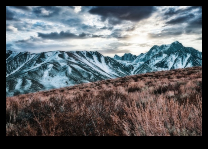 Summit Splendor III: Further Explorations into Mountainous Landscapes Again