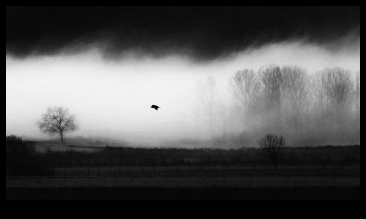 Enigmatic Horizons: Mystical Landscapes in Photos