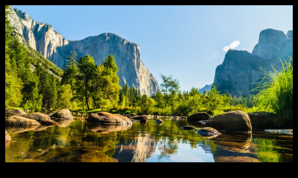 What role do national parks play in preserving natural landscapes?