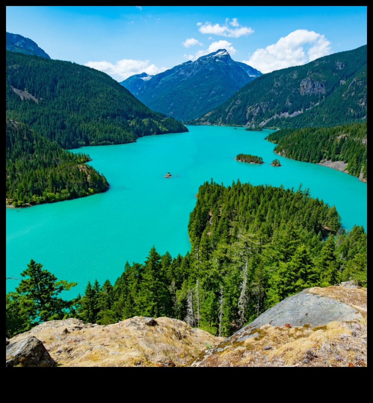 What role do national parks play in preserving natural landscapes?