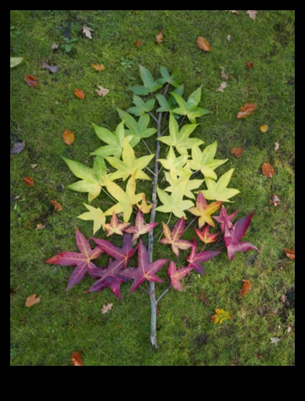 Sculpting Nature: Land Art as an Expression