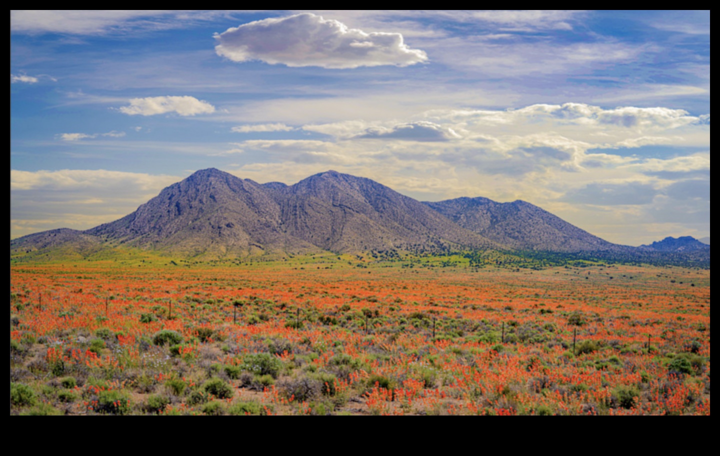 Seasons of Splendor: Capturing the Beauty of Nature's Changes