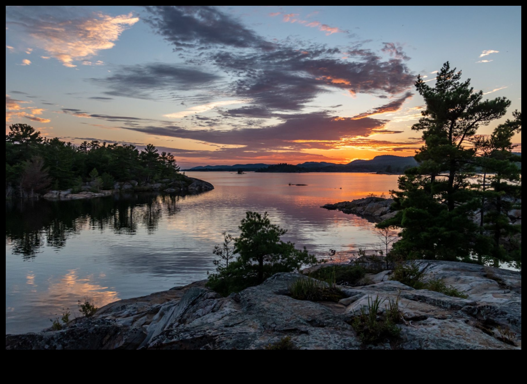 Seasons of Splendor: Capturing the Beauty of Nature's Changes