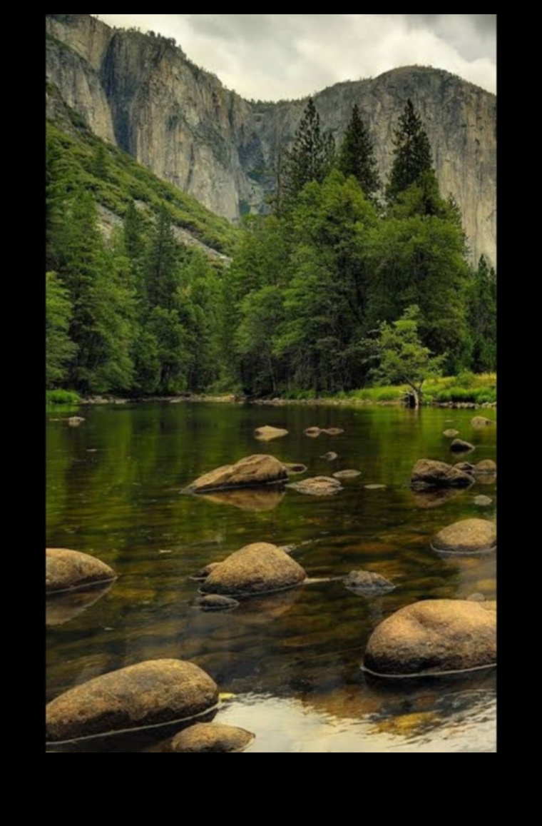 Dynamic Landscapes in Motion: Nature's Ever-Changing Beauty