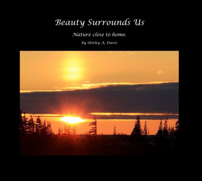 Dynamic Landscapes in Motion: Nature's Ever-Changing Beauty