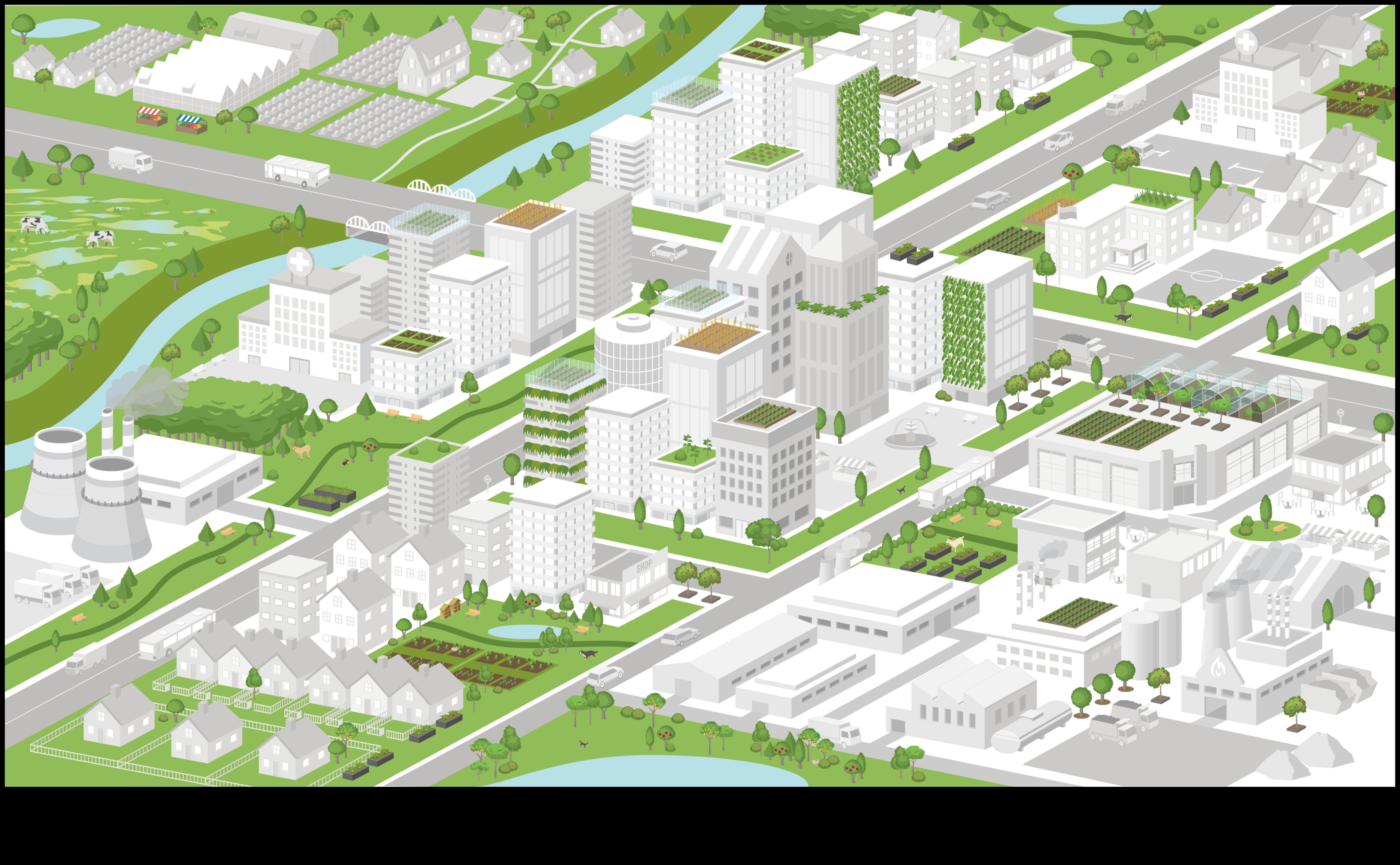 Urban Biodiversity: Flora and Fauna in Cityscapes