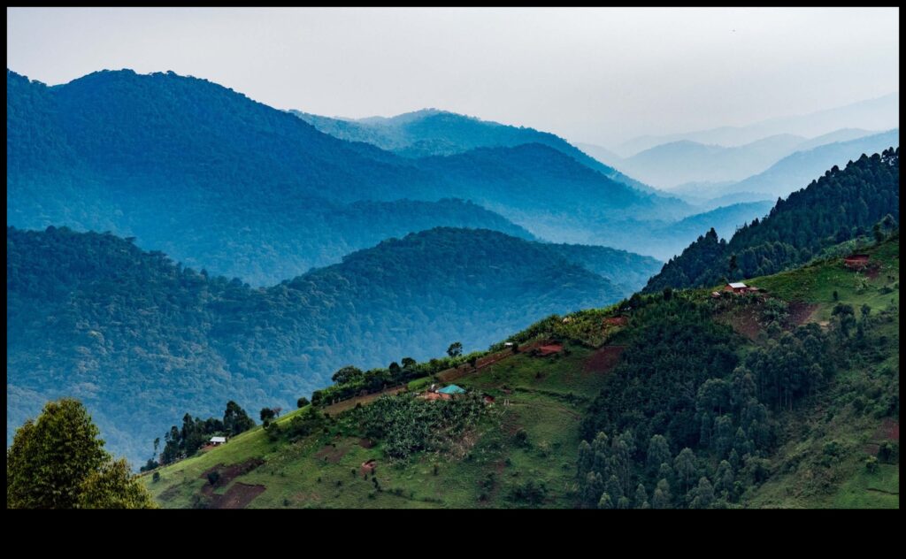 Nature's Dividend The Economic Benefits of Preserving Natural Landscapes 1