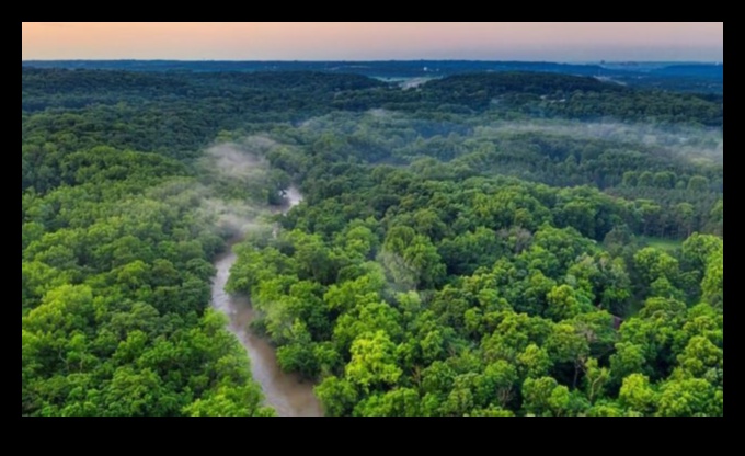 What are the economic benefits of preserving natural landscapes?