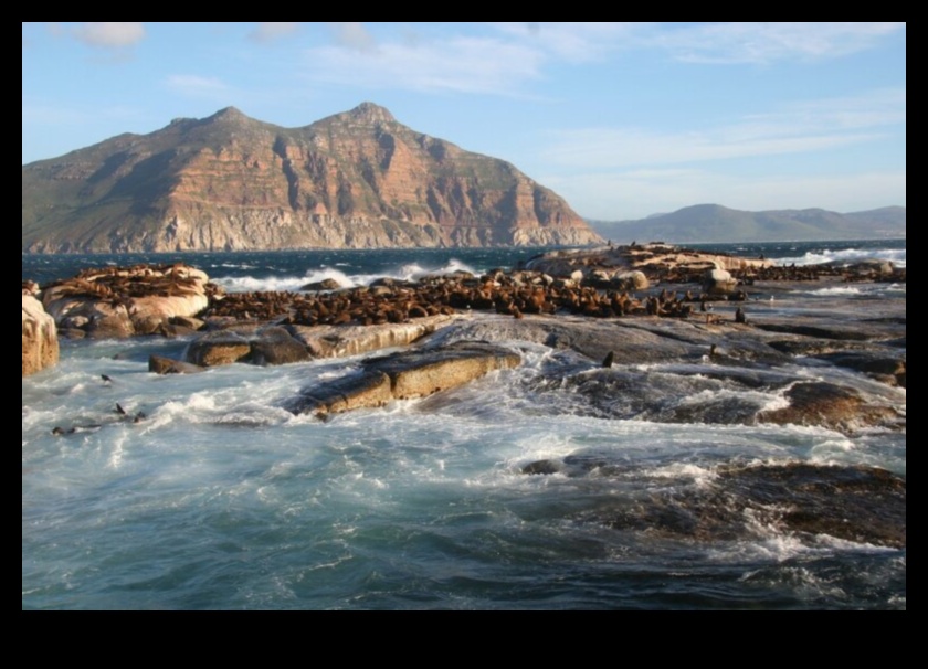 What are the economic benefits of preserving natural landscapes?