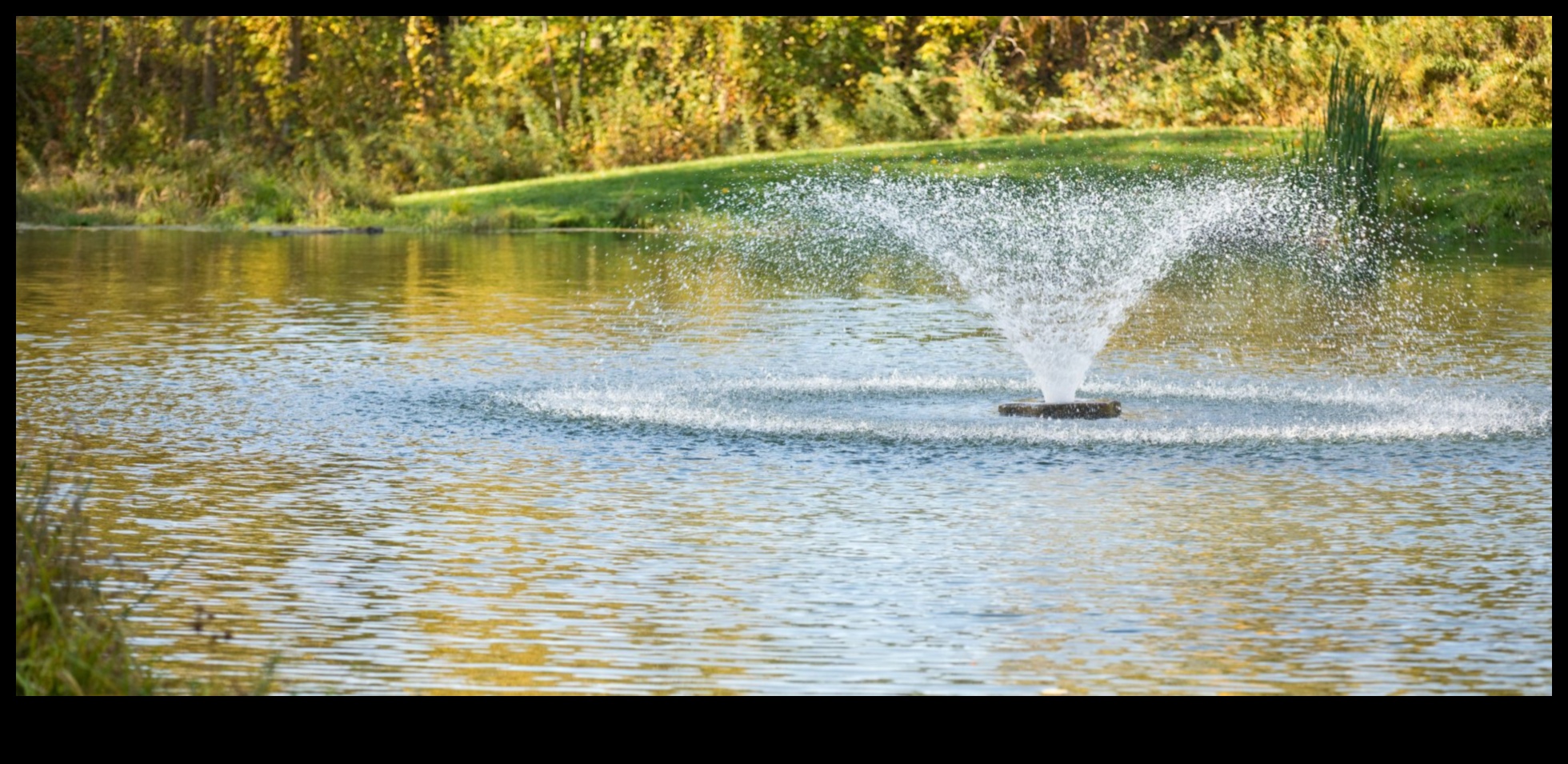 Nature's Elegance: Craft a Serene Haven with Garden Artistry