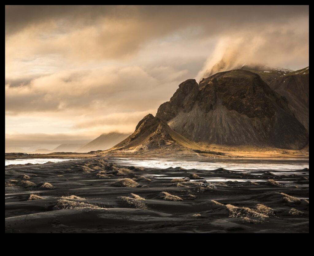 Nature's Emotional Landscape 1